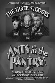 Ants in the Pantry-hd