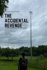 The Accidental Revenge series tv