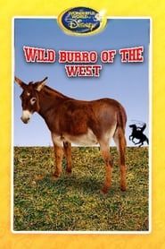 Wild Burro of the West series tv