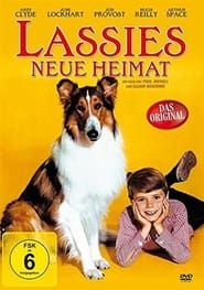 Lassie: The Wayfarers series tv