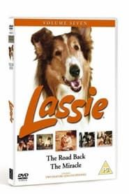 Image Lassie - The Road Back