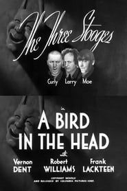 A Bird in the Head series tv