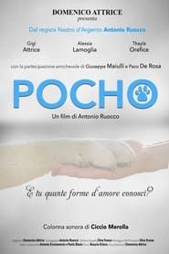 Pocho (2023)