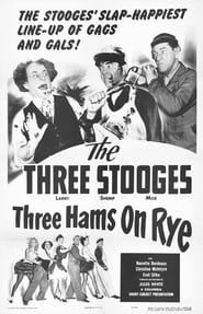 Image Three Hams on Rye