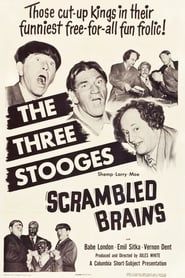 Scrambled Brains series tv