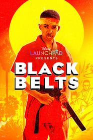 Black Belts series tv