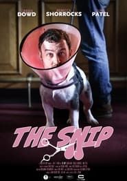 The Snip series tv