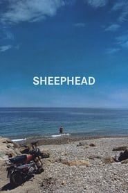 Sheephead-hd