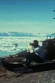 Ice Bank in Summer (1968)