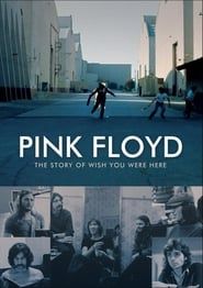 Image Pink Floyd : The Story of Wish You Were Here