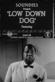 Image Low Down Dog