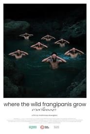 Image Where the Wild Frangipanis Grow