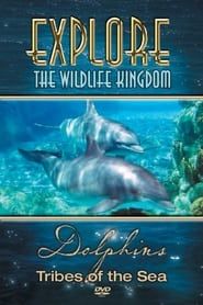 Image Explore the Wildlife Kingdom: Dolphins - Tribes of the Sea