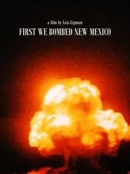 First We Bombed New Mexico series tv