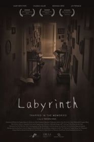 Labyrinth series tv