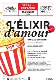 Image L'elixir d'amour - Donizzeti - Anger Nantes opéra 2023