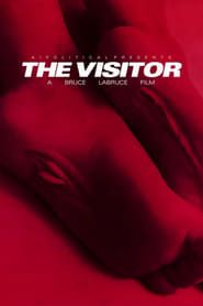 The Visitor (2023)