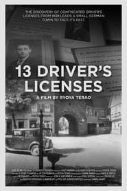 13 Driver's Licenses series tv