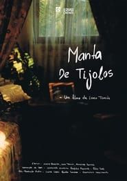 Manta De Tijolos 