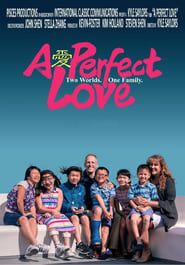 A Perfect Love series tv
