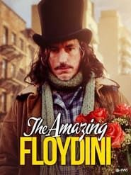 The Amazing Floydini series tv
