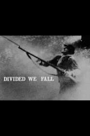 Divided We Fall series tv