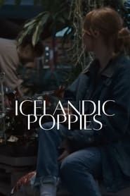 Image Icelandic Poppies