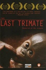 The Last Trimate series tv