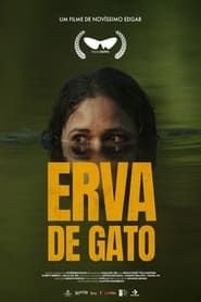 Erva de Gato series tv