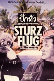 Image Sturzflug 1989