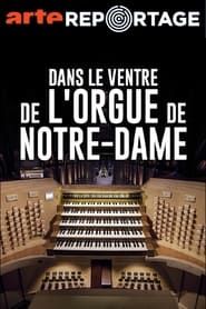 Image Dans le ventre de l'orgue de Notre-Dame