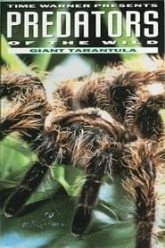 Image Predators of the Wild: Giant Tarantula 1993
