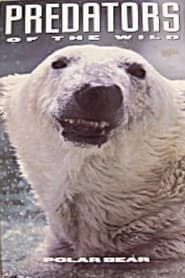 Image Predators of the Wild: Polar Bear