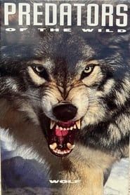 Image Predators of the Wild: Wolf