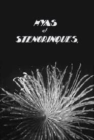 Hyas and Stenorhynchus series tv