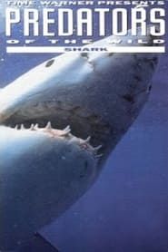 Image Predators of the Wild: Shark