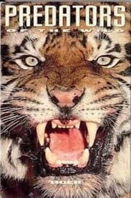 Image Predators of the Wild: Tiger