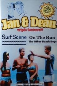 Jan & Dean: On the Run series tv