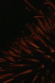Sea Urchins (1954)