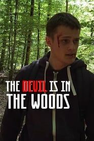 The Devil is in the Woods series tv