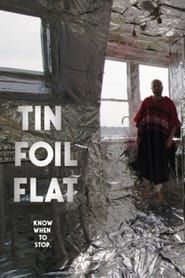 Tin Foil Flat series tv