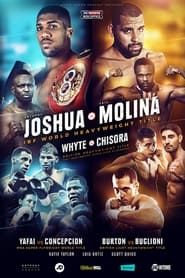 Anthony Joshua vs. Eric Molina 2016 streaming