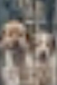 The More I Zoom in on the Image of These Dogs, The Clearer it Becomes That They Are Related to the Stars. series tv