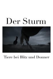 Der Sturm - Tiere bei Blitz und Donner series tv
