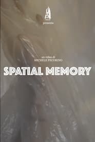 Spatial Memory series tv