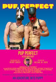 Pup Perfect series tv