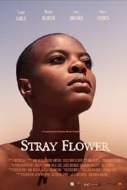 Stray Flower series tv