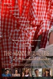 Image The Many Miracles of Household Saints