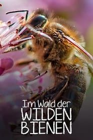 Image Im Wald der wilden Bienen 2022