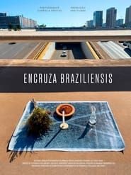 Encruza Braziliensis-hd